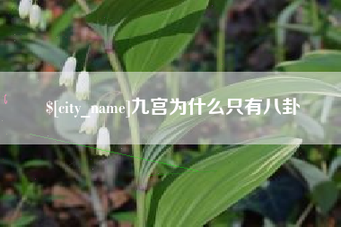 日土九宫为什么只有八卦
