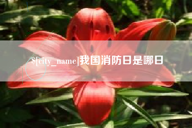 日土我国消防日是哪日