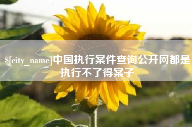 日土中国执行案件查询公开网都是执行不了得案子