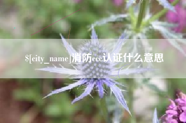日土消防ccc认证什么意思