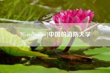 日土中国的消防大学