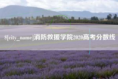 日土消防救援学院2020高考分数线