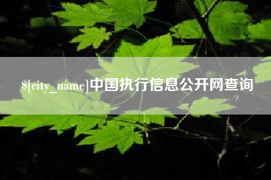 日土中国执行信息公开网查询