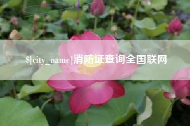 日土消防证查询全国联网