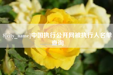 日土中国执行公开网被执行人名单查询