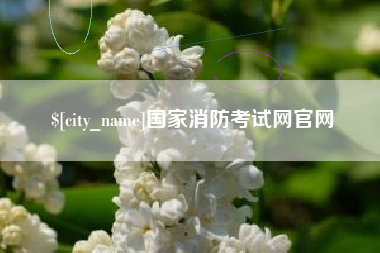 日土国家消防考试网官网