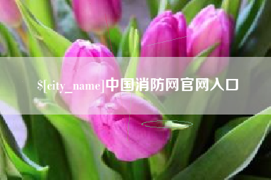 日土中国消防网官网入口