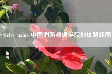 日土中国消防救援学院地址路线图