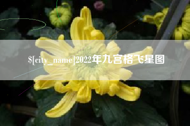 日土2022年九宫格飞星图
