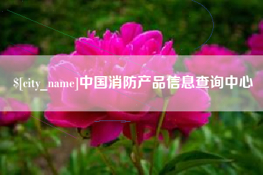 日土中国消防产品信息查询中心