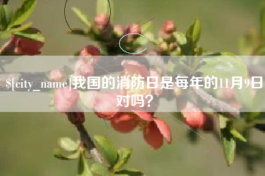 日土我国的消防日是每年的11月9日对吗？