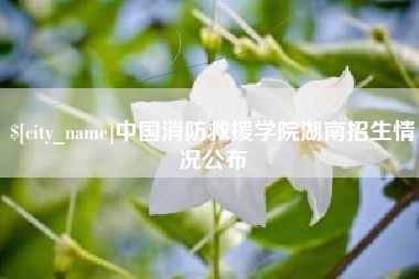 日土中国消防救援学院湖南招生情况公布