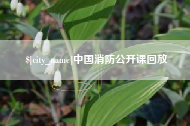 日土中国消防公开课回放