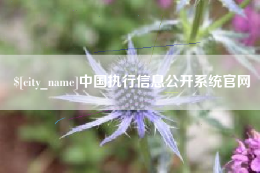 日土中国执行信息公开系统官网