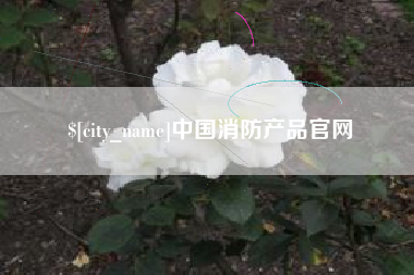 日土中国消防产品官网