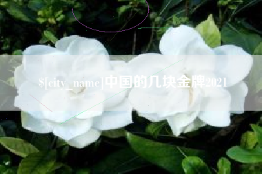 日土中国的几块金牌2021