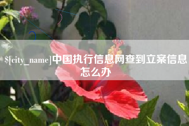 日土中国执行信息网查到立案信息怎么办