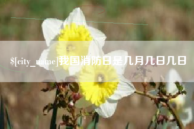 日土我国消防日是几月几日几日