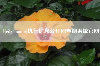 日土执行信息公开网查询系统官网