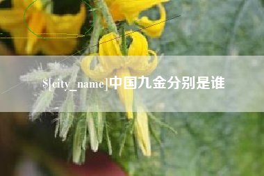 日土中国九金分别是谁