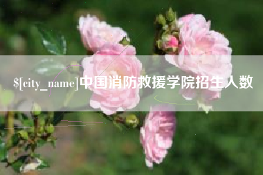 日土中国消防救援学院招生人数