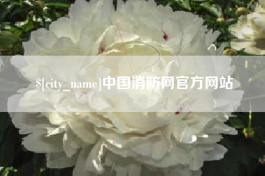 日土中国消防网官方网站