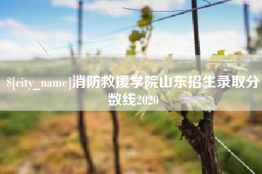 日土消防救援学院山东招生录取分数线2020