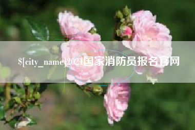日土2021国家消防员报名官网