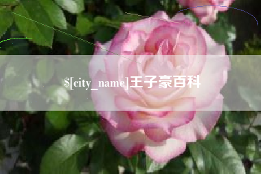 日土王子豪百科