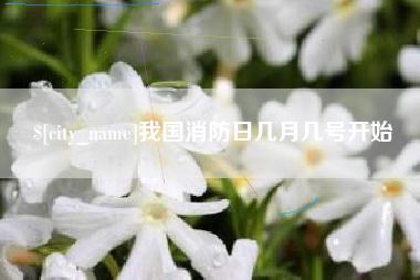 日土我国消防日几月几号开始