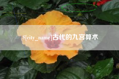 日土古代的九宫算术