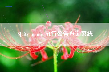日土执行公告查询系统