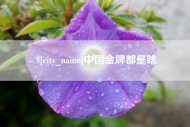 日土中国金牌都是啥