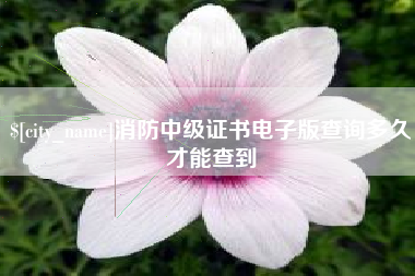 日土消防中级证书电子版查询多久才能查到