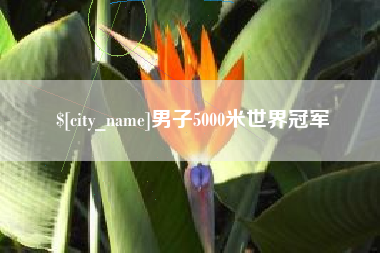 日土男子5000米世界冠军