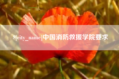 日土中国消防救援学院要求