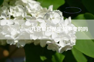 日土九宫星位是定位不变的吗