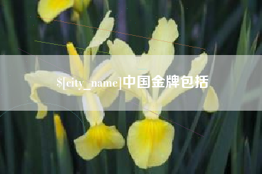 日土中国金牌包括