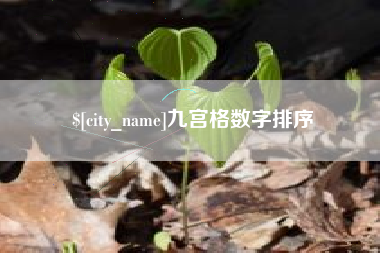 日土九宫格数字排序