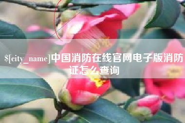 日土中国消防在线官网电子版消防证怎么查询