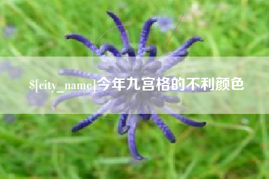 日土今年九宫格的不利颜色