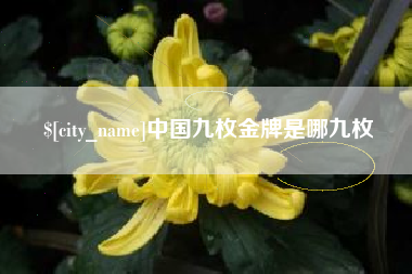 日土中国九枚金牌是哪九枚