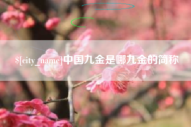 日土中国九金是哪九金的简称