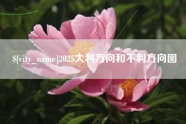 日土2025大利方向和不利方向图