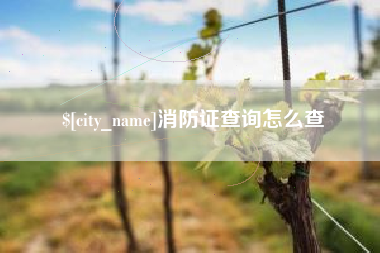 日土消防证查询怎么查