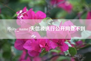 日土失信被执行公开网查不到