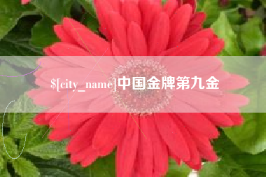 日土中国金牌第九金