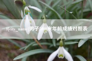 日土男子5000米年龄成绩对照表
