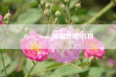 日土中国地图9宫格