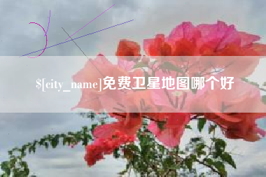 日土免费卫星地图哪个好